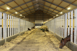 Освещение и вентиляция для конюшен